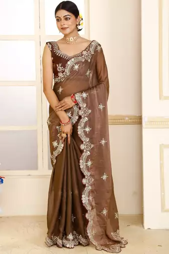 Brown embroidered tissue saree