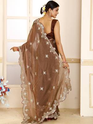 Brown embroidered tissue saree 3
