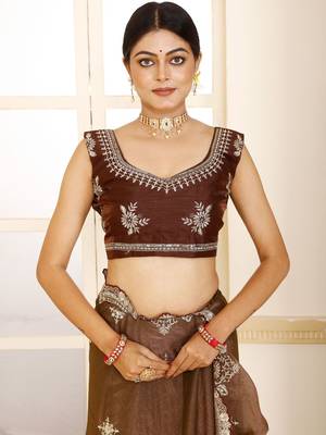 Brown embroidered tissue saree 4