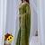 Green ethnic motifs embroidered silk blend designer saree