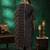 women floral printed regular thread work kurta with trousers & with dupatta
