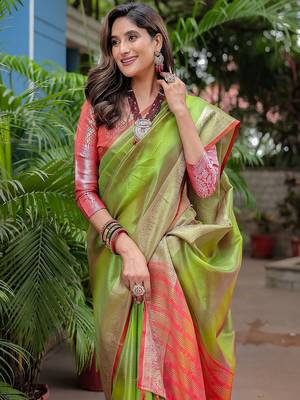Green striped zari tissue banarasi saree 3
