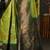 Green green & red ethnic motifs woven design zari kanjeevaram saree