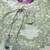 women floral printed regular kurta with trousers & with dupatta
