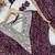 Plum rayon gown with mirror embroidery set