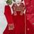 Red blooming georgette sequin embroidery gown set