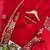 Red blooming georgette sequin embroidery gown set