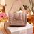 Gold twinkle potli and pink flap bag combo