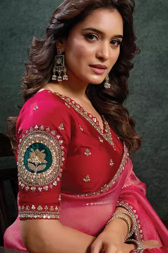rasberry zari organza sequince embroidery with stone work designer saree