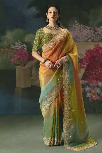 Multicolor premium fancy heavy beads work saree