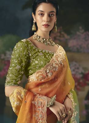 Multicolor premium fancy heavy beads work saree 3