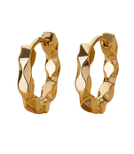 wildcats feline gold plated hoop earring
