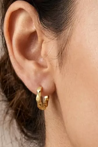 wildcats feline gold plated hoop earring