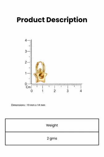 star frame gold plated hoop earrings
