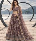 DUSTY ONION NET THREAD WITH ZARI AND SEQUINCE WORK FESTIVE LEHENGA CHOLI SET FOR WOMEN'S