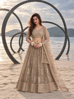 GREY NET THREAD WITH ZARI AND SEQUINCE WORK FESTIVE LEHENGA CHOLI SET FOR WOMEN'S 1