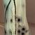sea green floral embroidered tissue saree