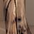 beige floral embroidered tissue saree