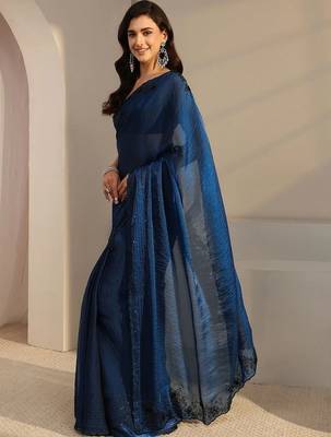 blue embroidered tissue saree 3