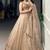 antique gold tissue organza embroidered designer lehenga-choli upto 48