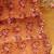 Embroidered Organza Unstitched Dress Material