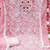 Embroidered Pure Cotton Unstitched Dress Material