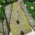 Green Simmer Silk Jacquard With Embroidery Work Unstitched Dress Material
