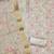 Floral Printed Organza Beaded Unstitched Dress Material