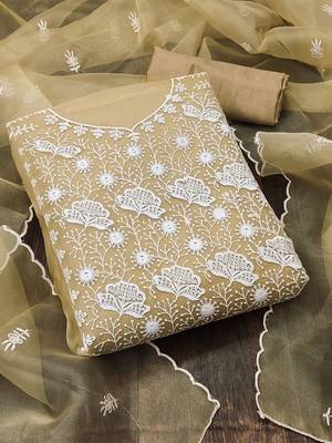Beige & White Embroidered Organza Unstitched Dress Material 1