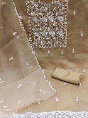 Beige & White Embroidered Organza Unstitched Dress Material 2