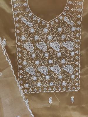 Beige & White Embroidered Organza Unstitched Dress Material 5