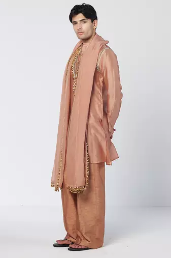 Copper biscoff embroidered chanderi silk and organza kurta pant with dupatta stole