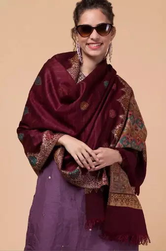 Women ethnic motifs woven design shawl