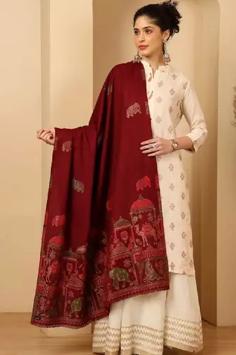 Women ethnic motifs woven design shawl
