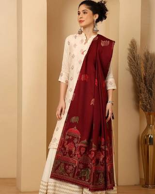 Women ethnic motifs woven design shawl 2