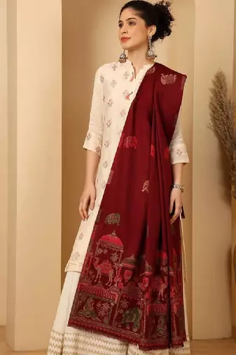 Women ethnic motifs woven design shawl