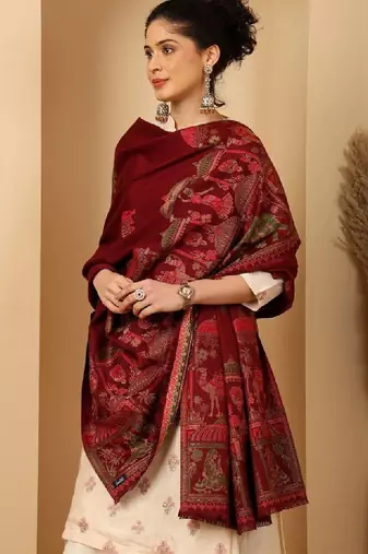Women ethnic motifs woven design shawl