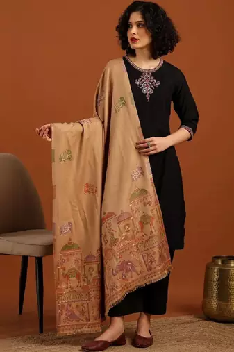 Women ethnic motifs woven design shawl
