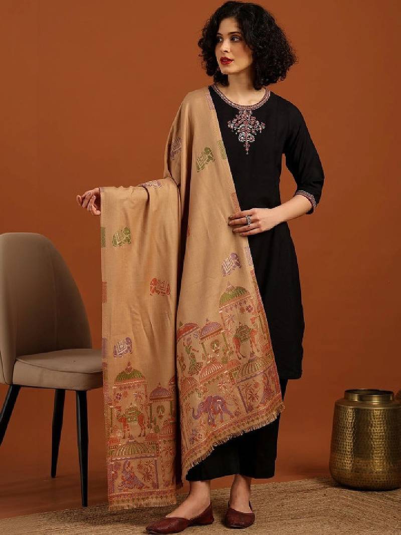 Women ethnic motifs woven design shawl