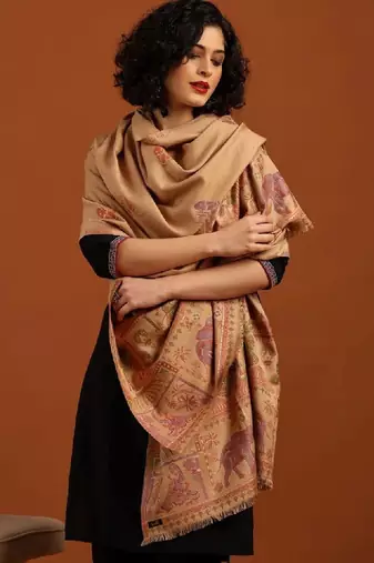 Women ethnic motifs woven design shawl