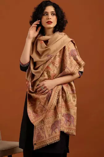 Women ethnic motifs woven design shawl