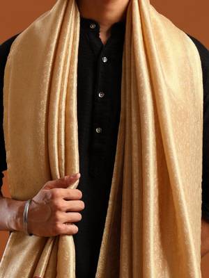 Ethnic motifs woven design zari shawl 4