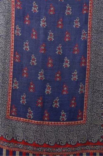 Women paisley woven design stole
