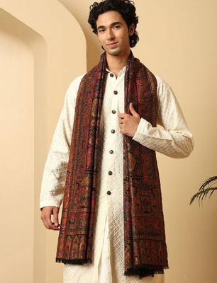 Ethnic motifs woven design shawl 3