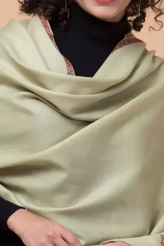 Women embroidered woollen stole