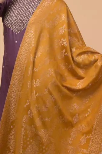 Women ethnic motifs woven stole