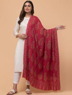 Women ethnic motifs woven design shawl 1