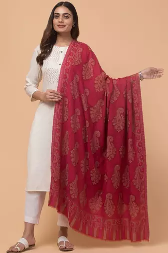 Women ethnic motifs woven design shawl