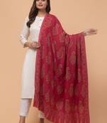 Women ethnic motifs woven design shawl