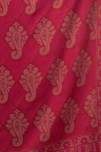 Women ethnic motifs woven design shawl